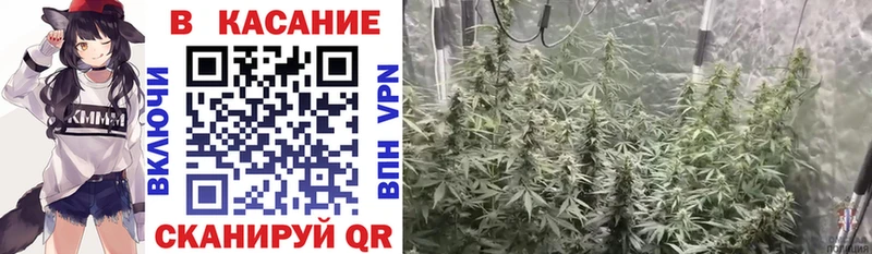 Купить закладку A PVP  КОКАИН  Гашиш  Экстази  АМФЕТАМИН  Конопля  МЕФ  Саров