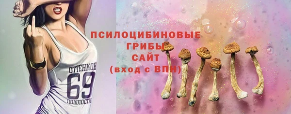 бошки Каменка
