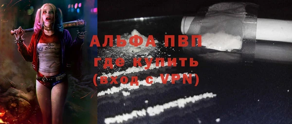бошки Каменка