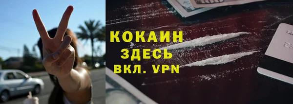 бошки Каменка