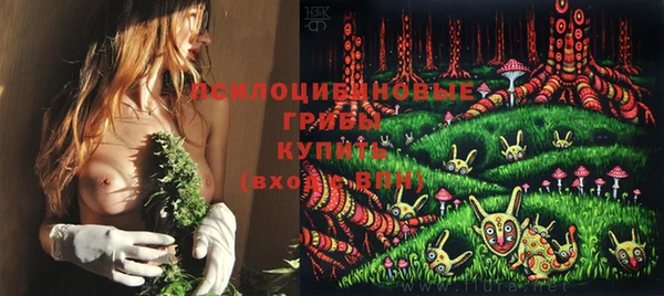 дурь Каменногорск