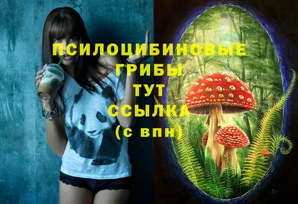 винт Каменск-Шахтинский