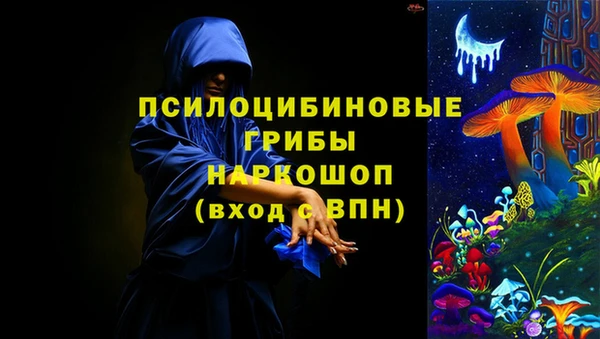 дурь Каменногорск