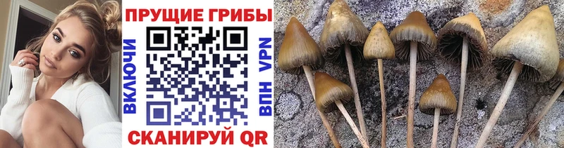 Галлюциногенные грибы ЛСД  Купить  Саров 